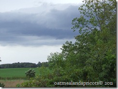 Hannah's 4th Birthday 134